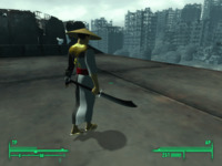 Женская Китайская Броня