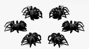 Пауки Fallout Nevada