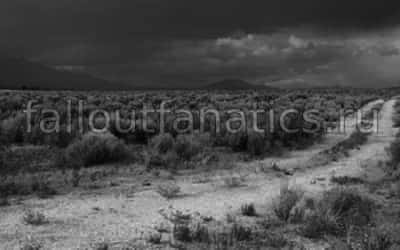 Раби Fallout Nevada 