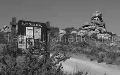 Раби Fallout Nevada 