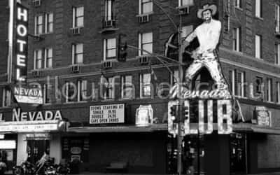 Эйли Fallout Nevada 